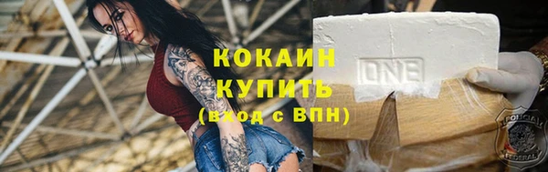 прущие крисы Бородино