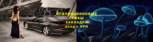 прущие крисы Бородино