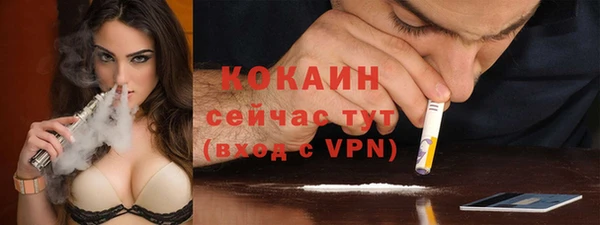 прущие крисы Бородино
