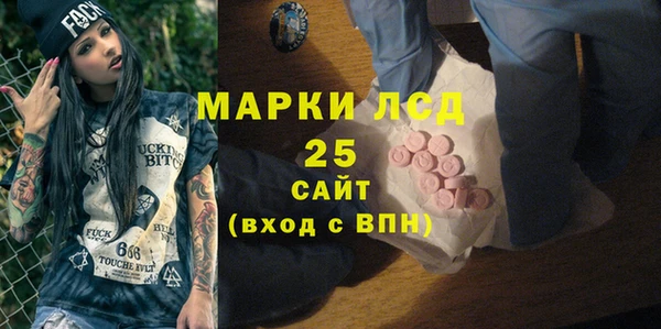 прущие крисы Бородино