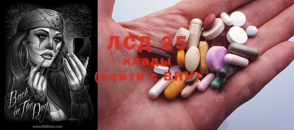 прущие крисы Бородино