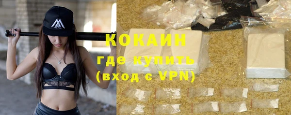 прущие крисы Бородино